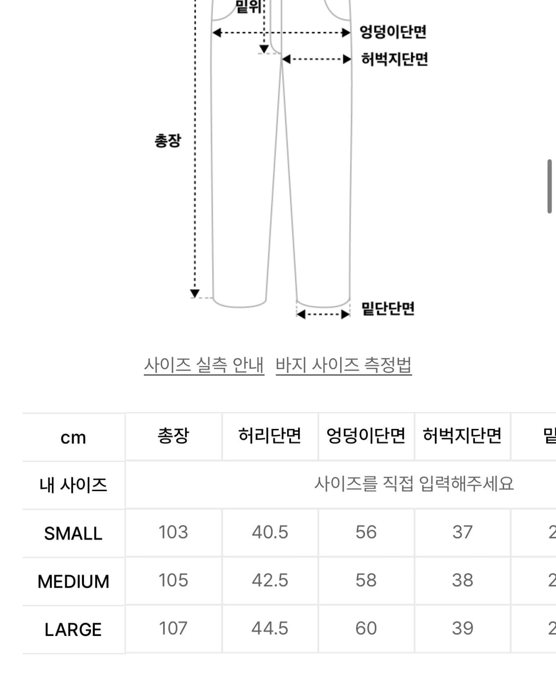 트래블 카고 팬츠 상품이미지6