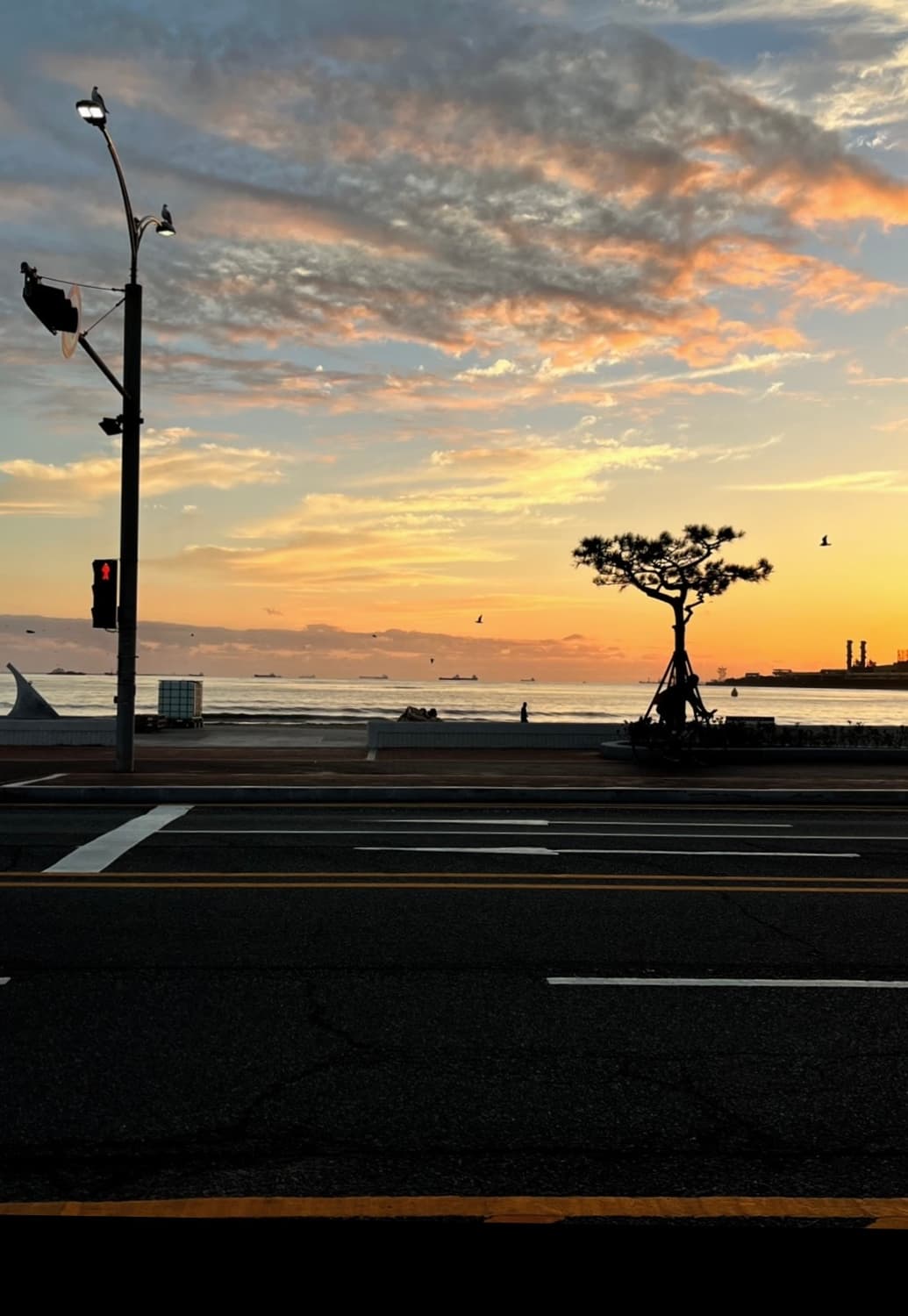 니콘 쿨픽스so2 (희귀) 블루디카 + 가죽케이스+USB 묶어서 팜 상품이미지7