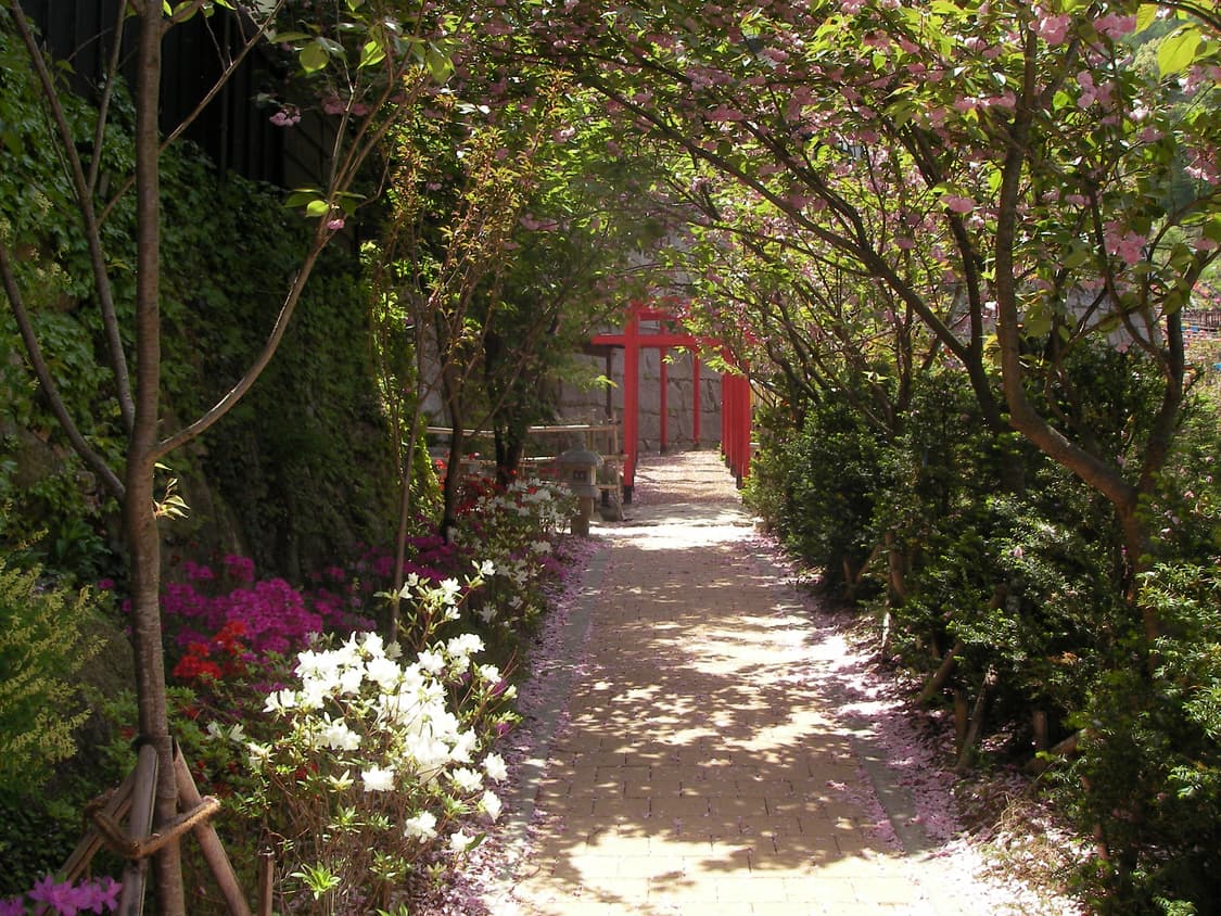 Sanyo Xacti E6 Silver+ 산요 작티 E6 실버+ 작례 ㅇ 상품이미지9