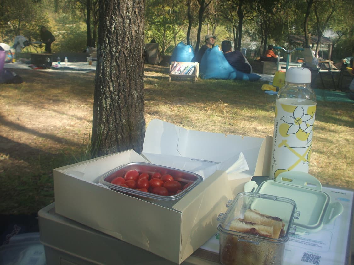 (작례o) Fujifilm Finepix 후지필름 파인픽스 A700 상품이미지5