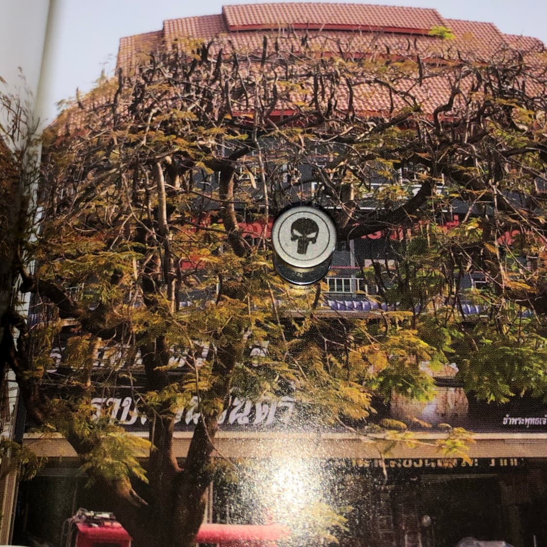 림보 결과 2 🪥 12,000 상품이미지1