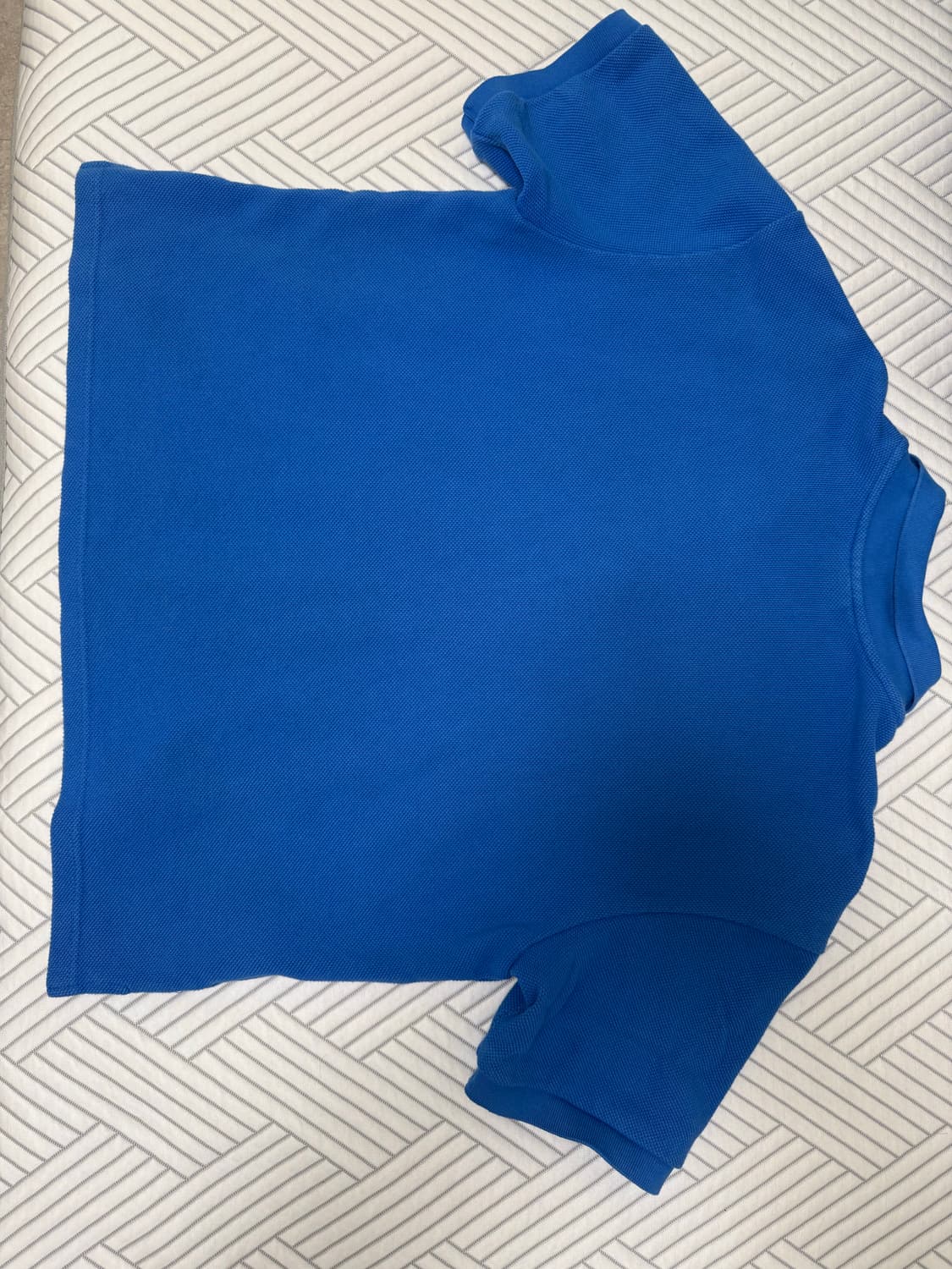 IAB스튜디오 크롭 피케셔츠 블루 상품이미지4