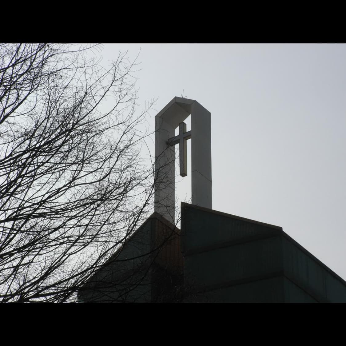 작례⭕️ 리코 카프리오 R6 상품이미지4