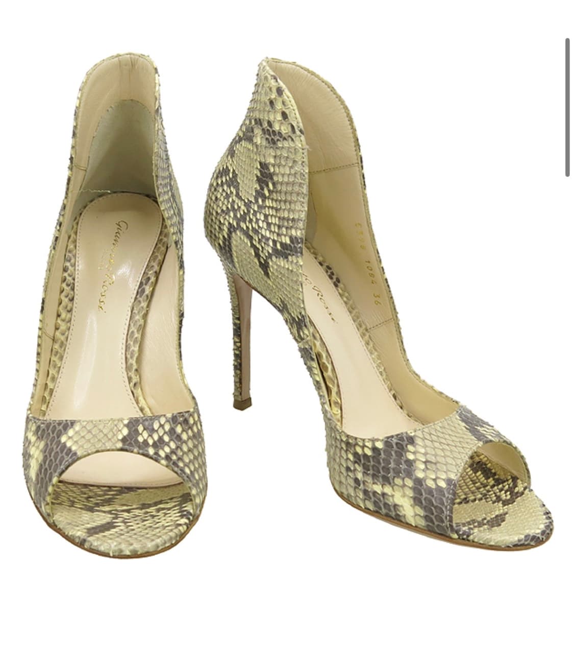 지안비토 로시  상품이미지4