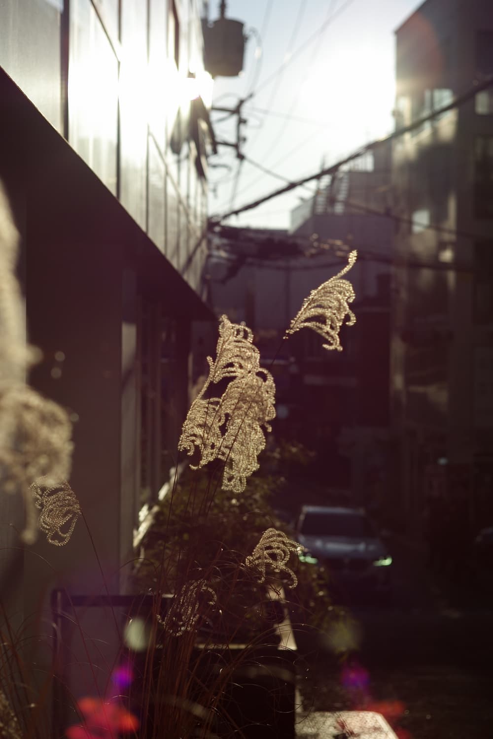 (라이카 M8 민트급 5000컷대) 블랙컬러 판매합니다. 상품이미지9