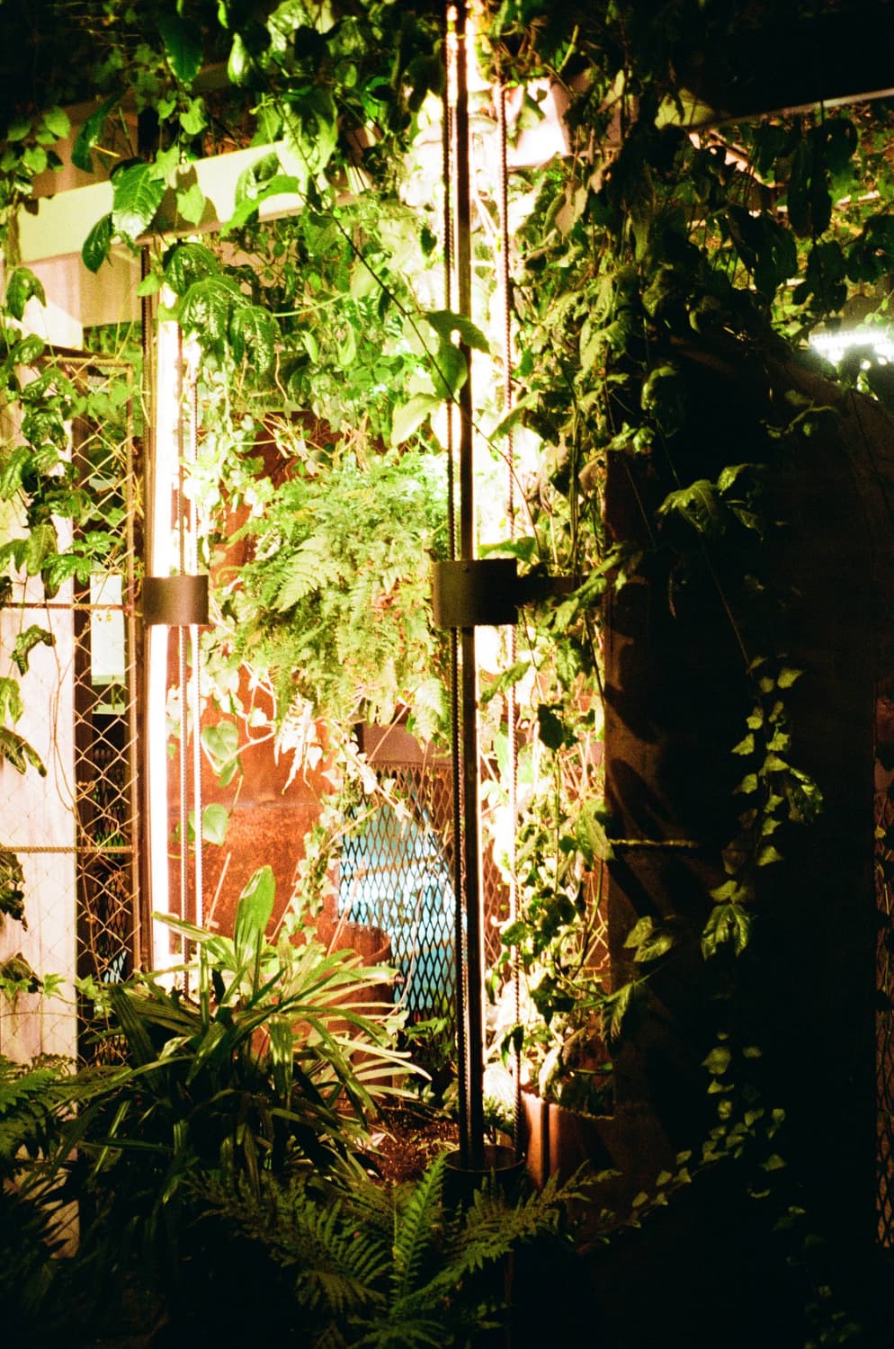 케녹스 70qs 밀레니엄 에디션 필름카메라 빈티지 필카 상품이미지3