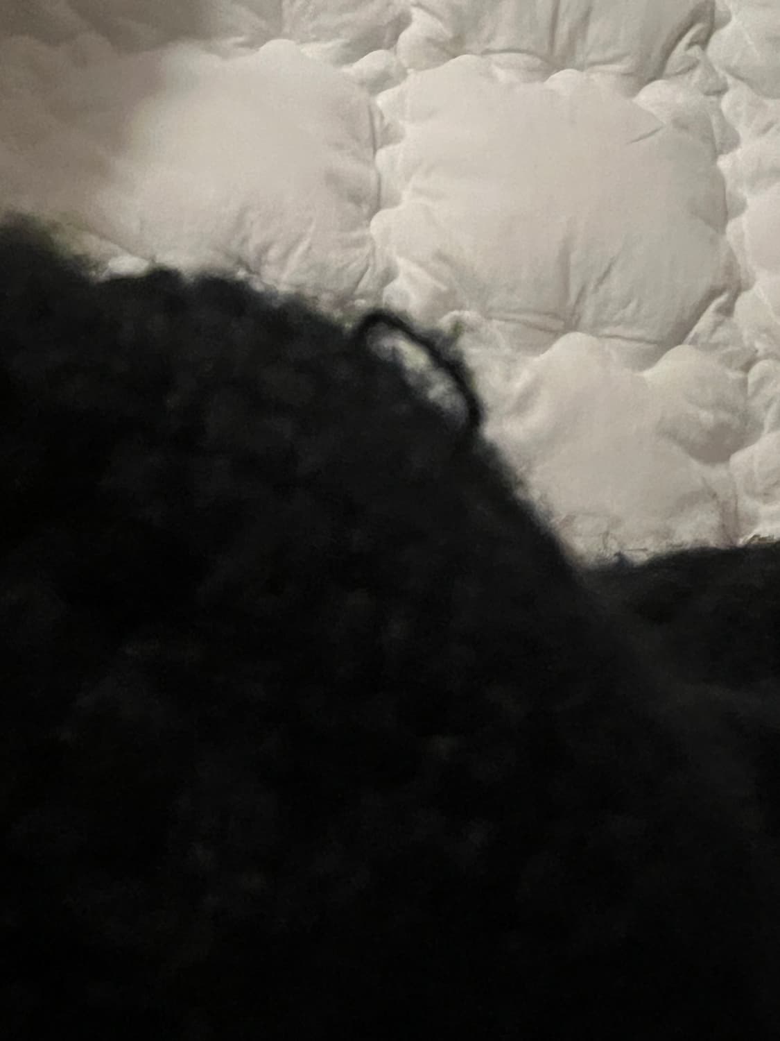 인앤양인하모니 트루퍼햇 비니 모자 상품이미지5