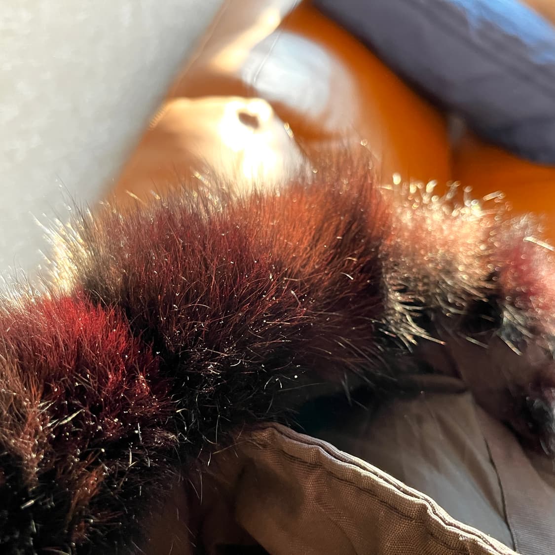 [판매, 교환] 한정판 무스너클 발리스틱 14k 금장 백화점 정품 상품이미지6