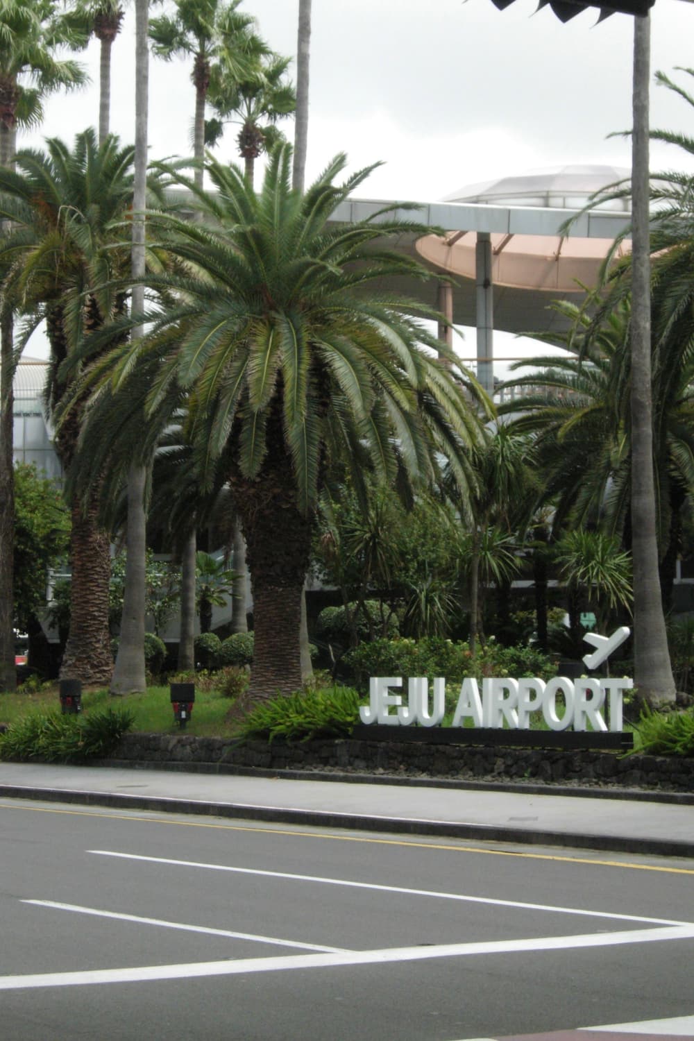 니콘 쿨픽스 p4 빈티지 디카 한글지원 / 작례 있음 상품이미지10