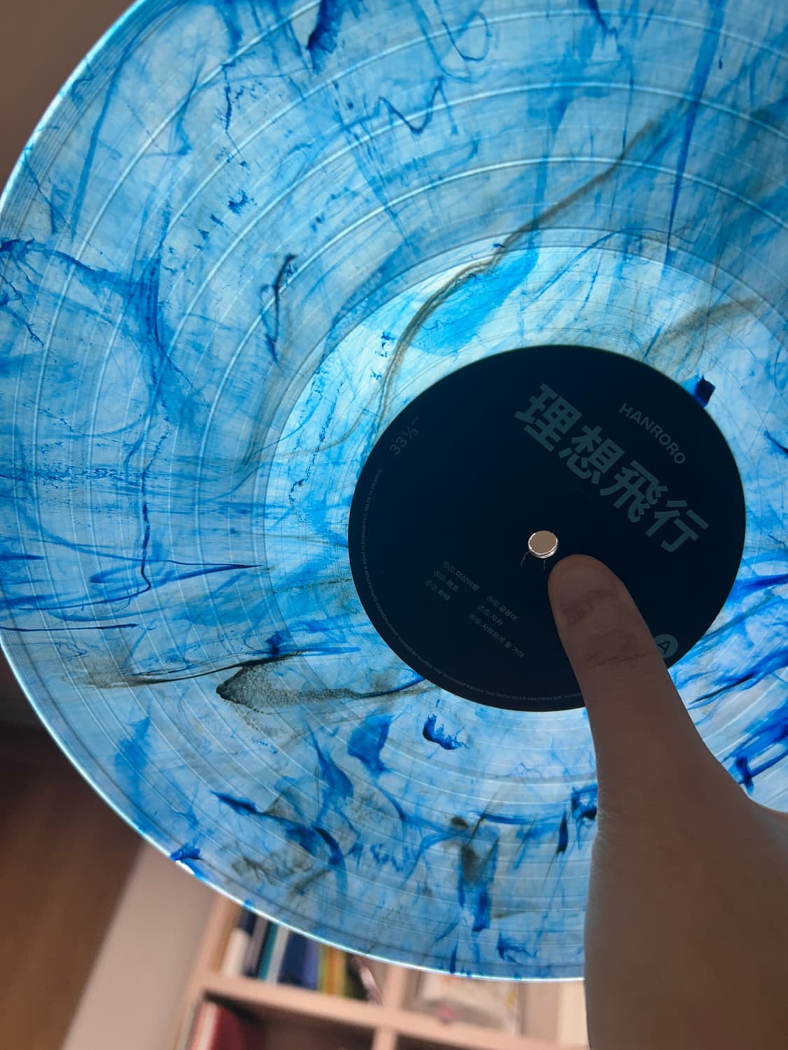 한로로 이상비행 lp 상품이미지4