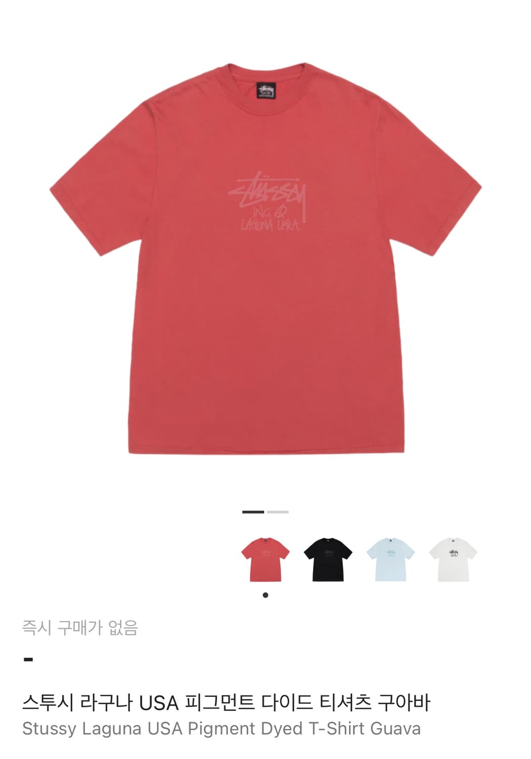스투시 라구나 USA 피그먼트 다이드 티셔츠 구아바 상품이미지1