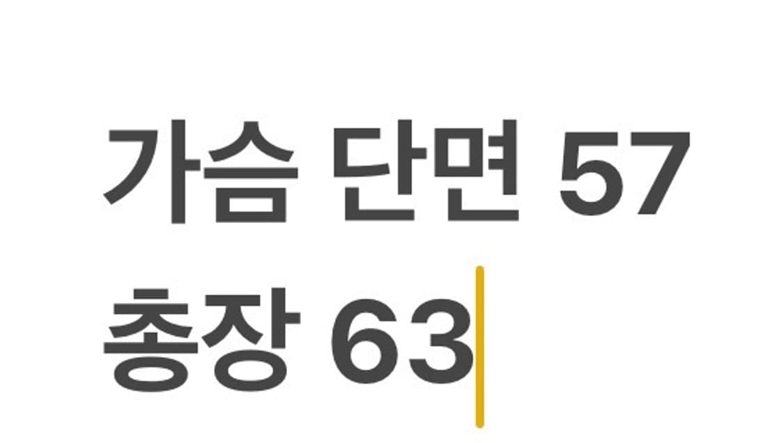 [95] 롯데 자이언츠 바람막이 점퍼 블랙 b18 상품이미지7