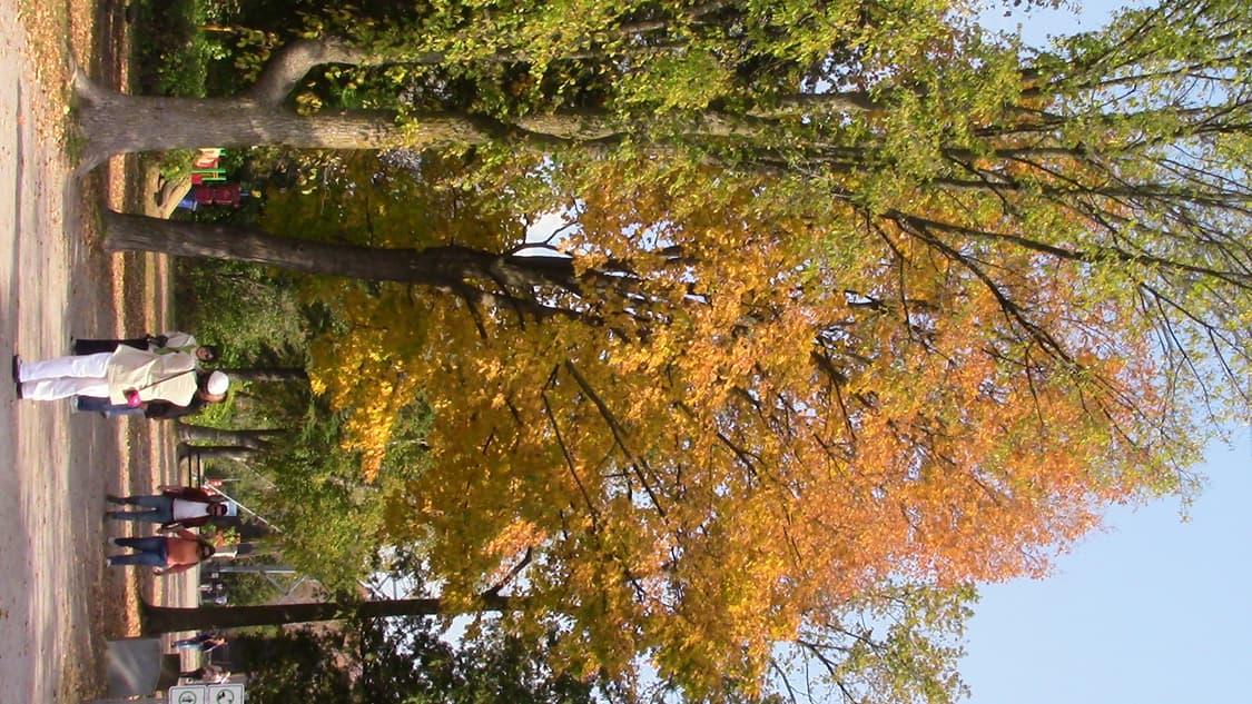 (민트급) 캐논 빅시아 HF R800 화이트 한글판 상품이미지9