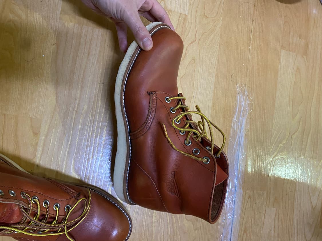 레드윙8166 8D 상품이미지8