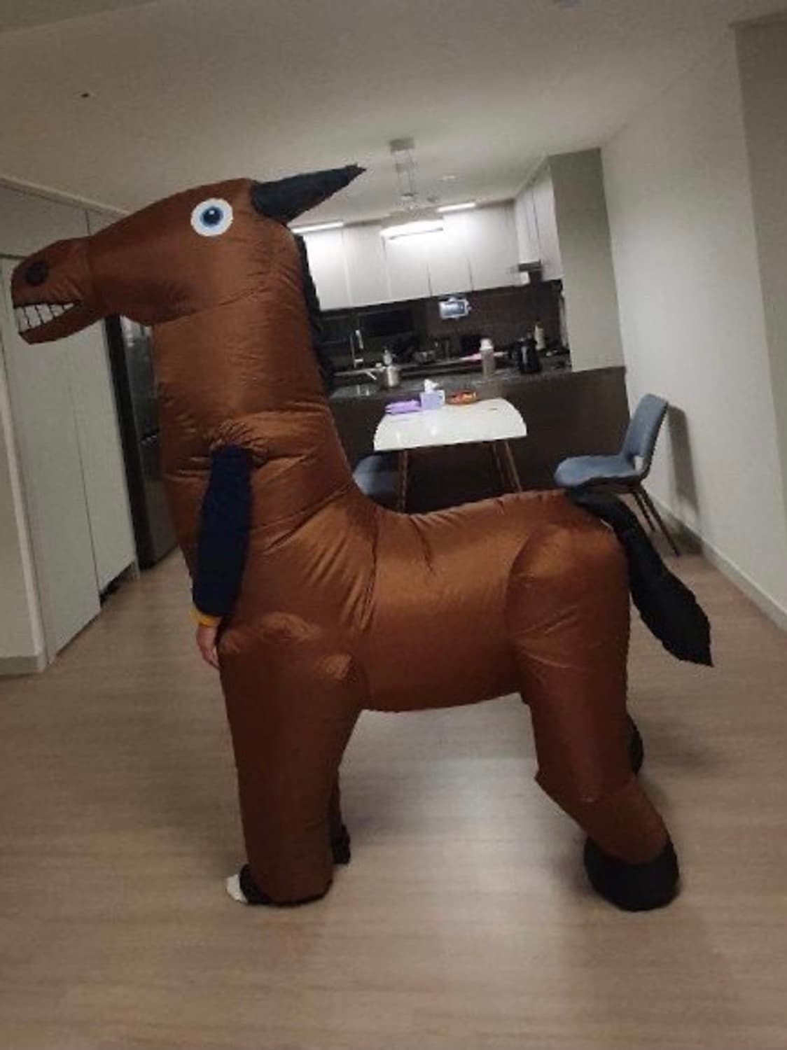 에어슈트 말 코스튬 상품이미지1