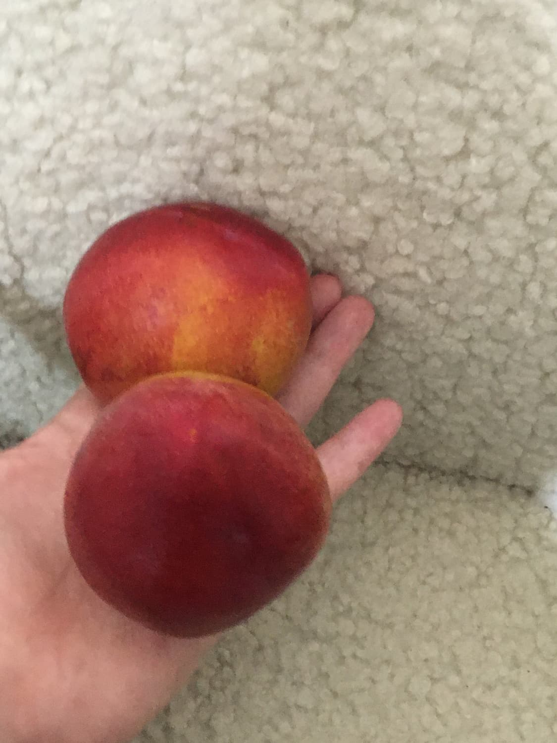 아이폰 se1 실버 128기가  상품이미지8