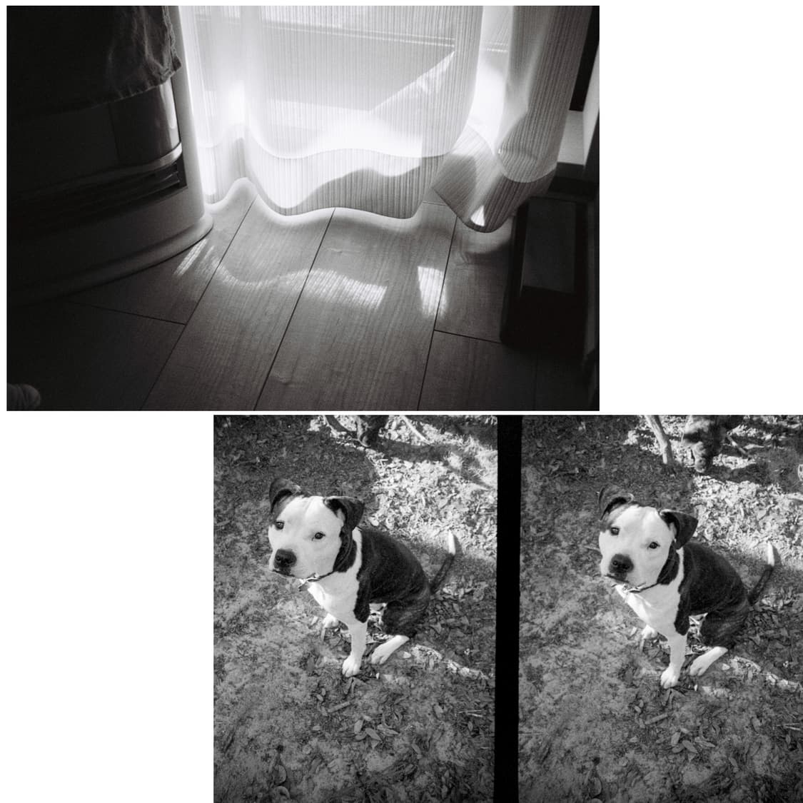 필름카메라 beel&whowell 다이얼35 (작례 0) 상품이미지4