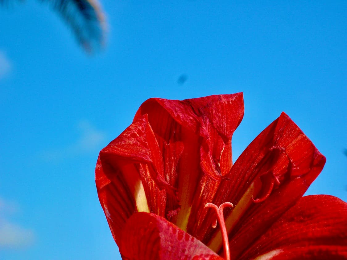 캐논 파워샷 a640 카메라 상품이미지9