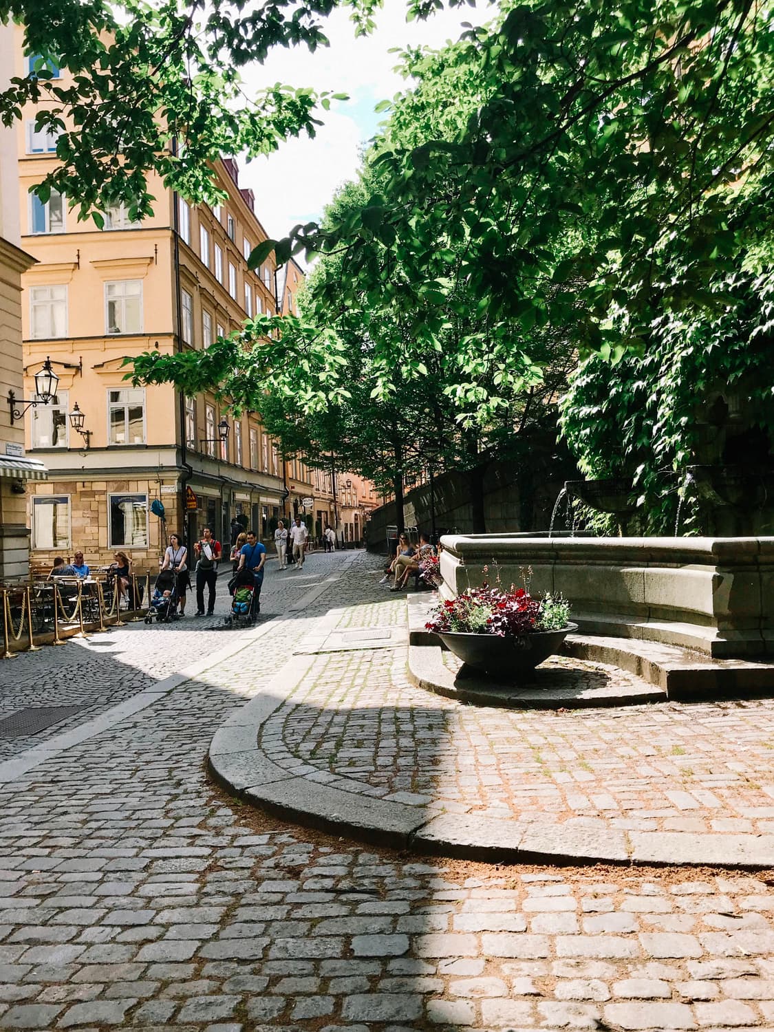 Olympus μ 840 (올림푸스 뮤 840) 상품이미지9