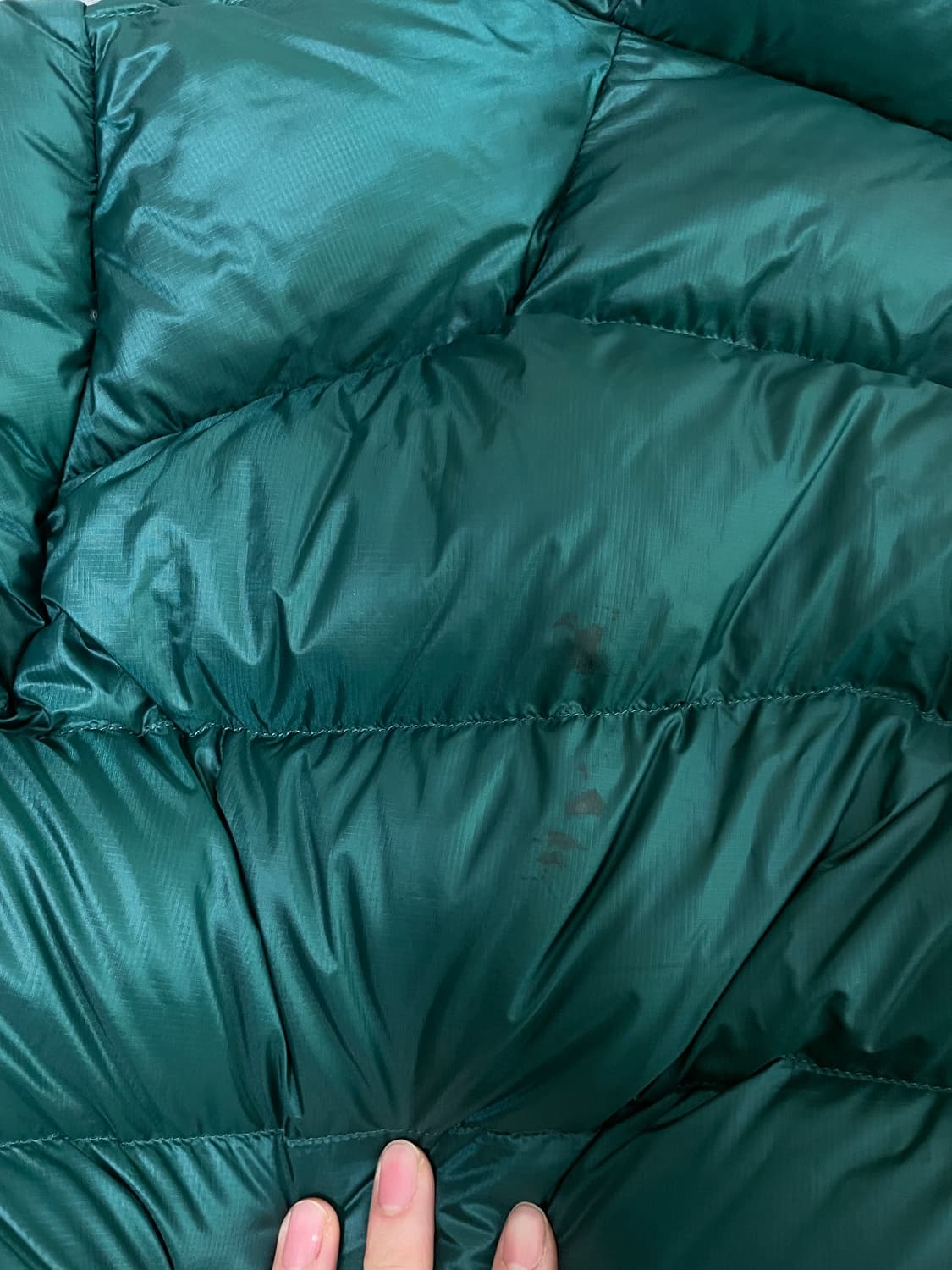 파타고니아 피츠로이 그린 상품이미지5