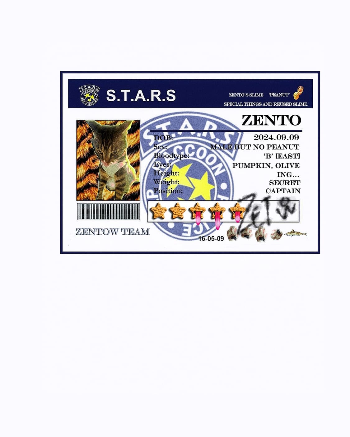 ZentoW  상품이미지1