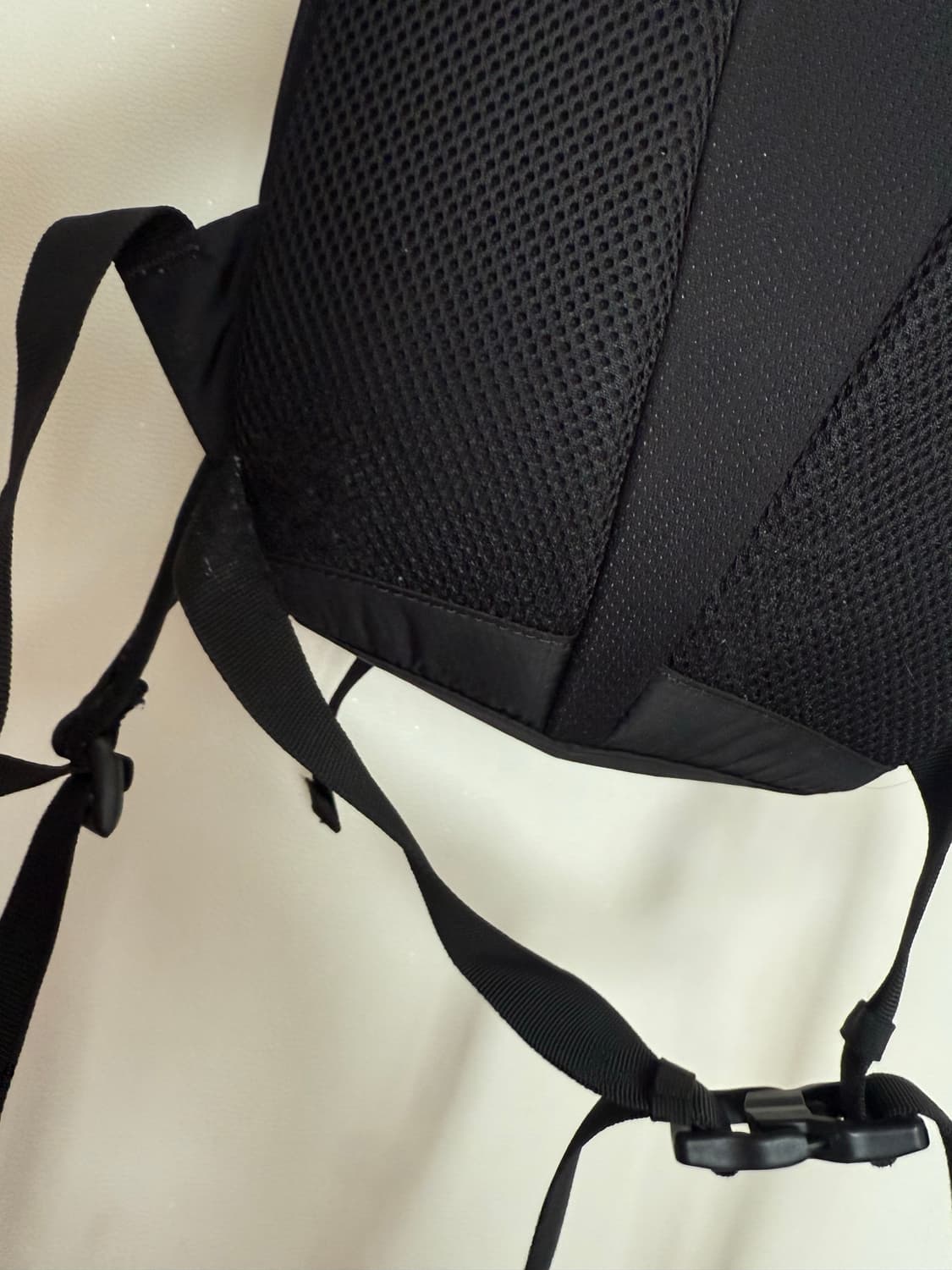 살로몬 트레일블레이저 10L 상품이미지3