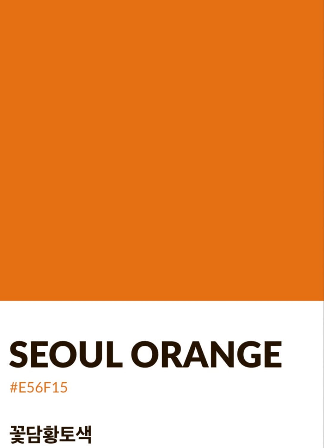 L) 골드짐 동도쿄 헬스 티셔츠 상품이미지6