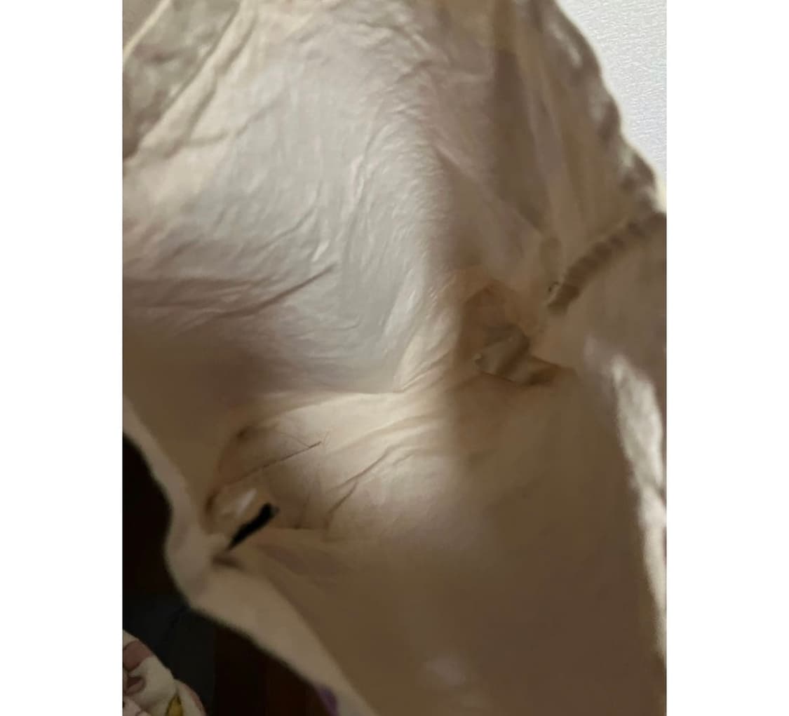 tricot COMME des GARÇONS 플래드 핸들 캔버스 토트백 상품이미지5