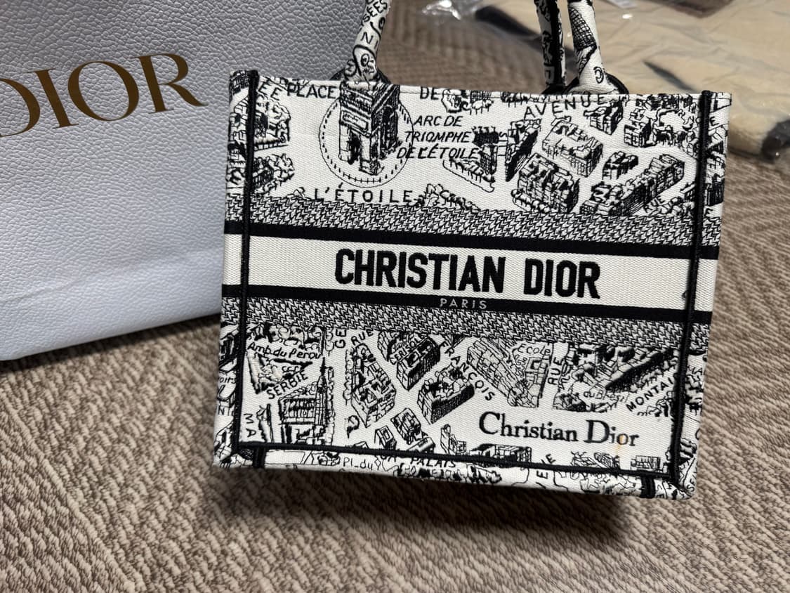 디올 스몰 북 토트백 플랜 드 파리 자수 화이트 블랙 상품이미지6