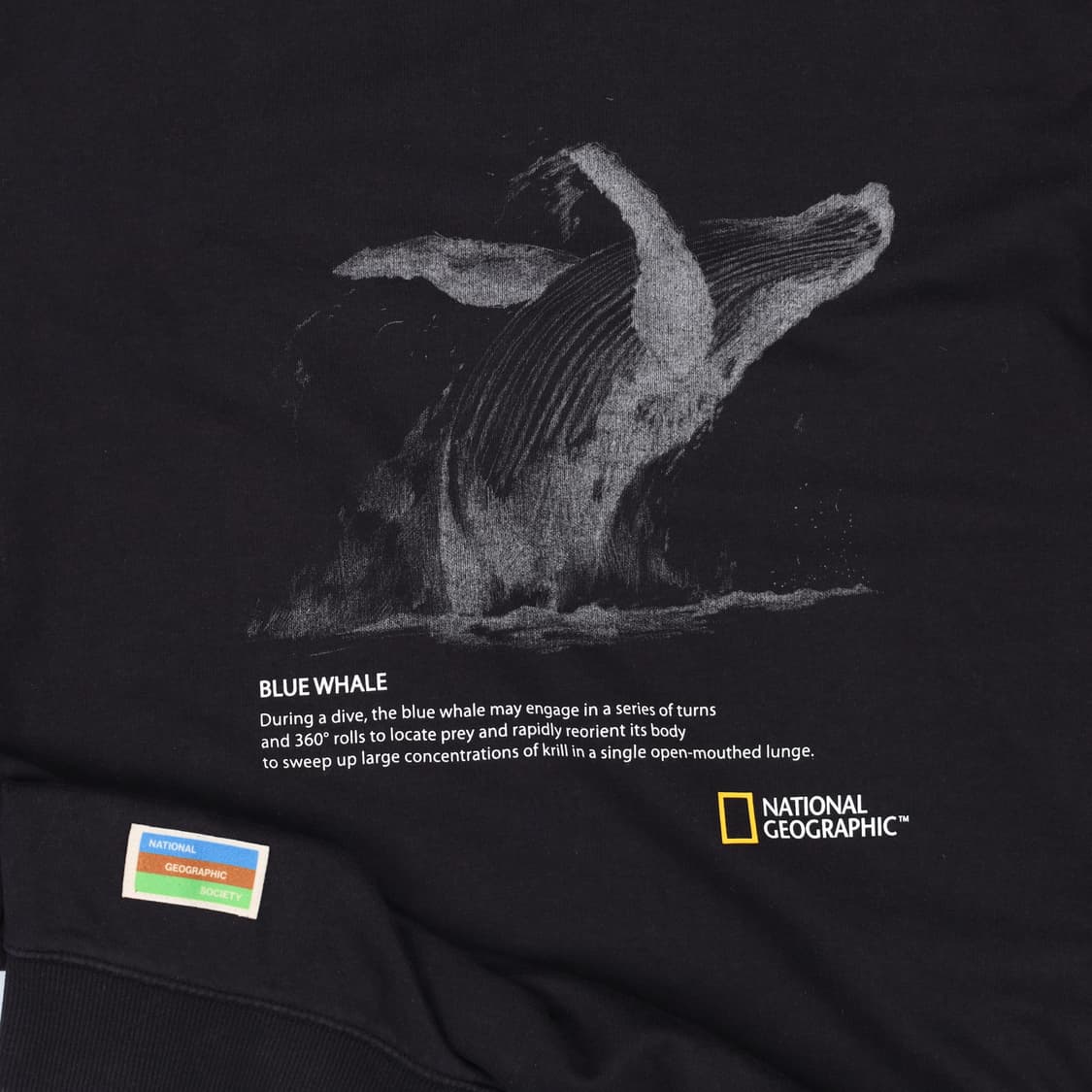 [110] 내셔널지오그래픽 코어티 고래 맨투맨 티셔츠 N6872 상품이미지5