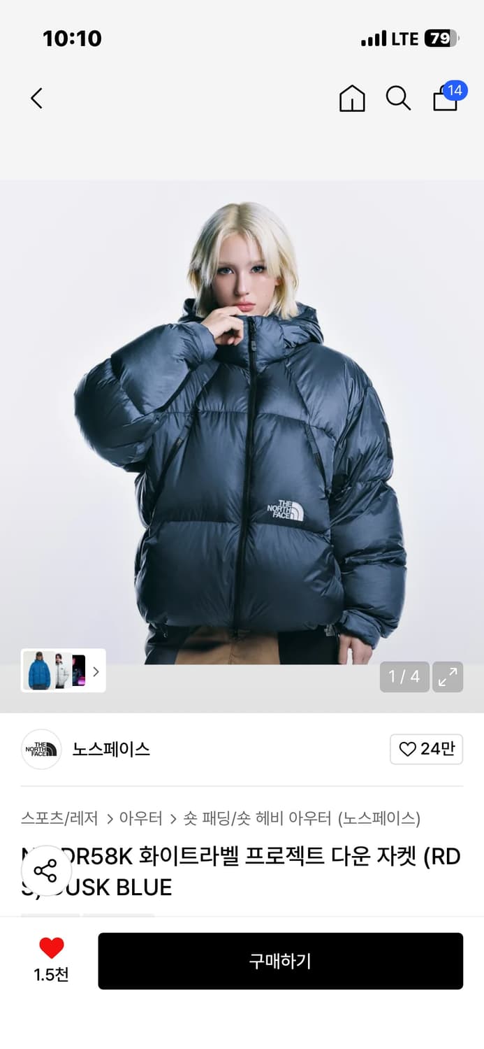 노스페이스 프로젝트다운 상품이미지1