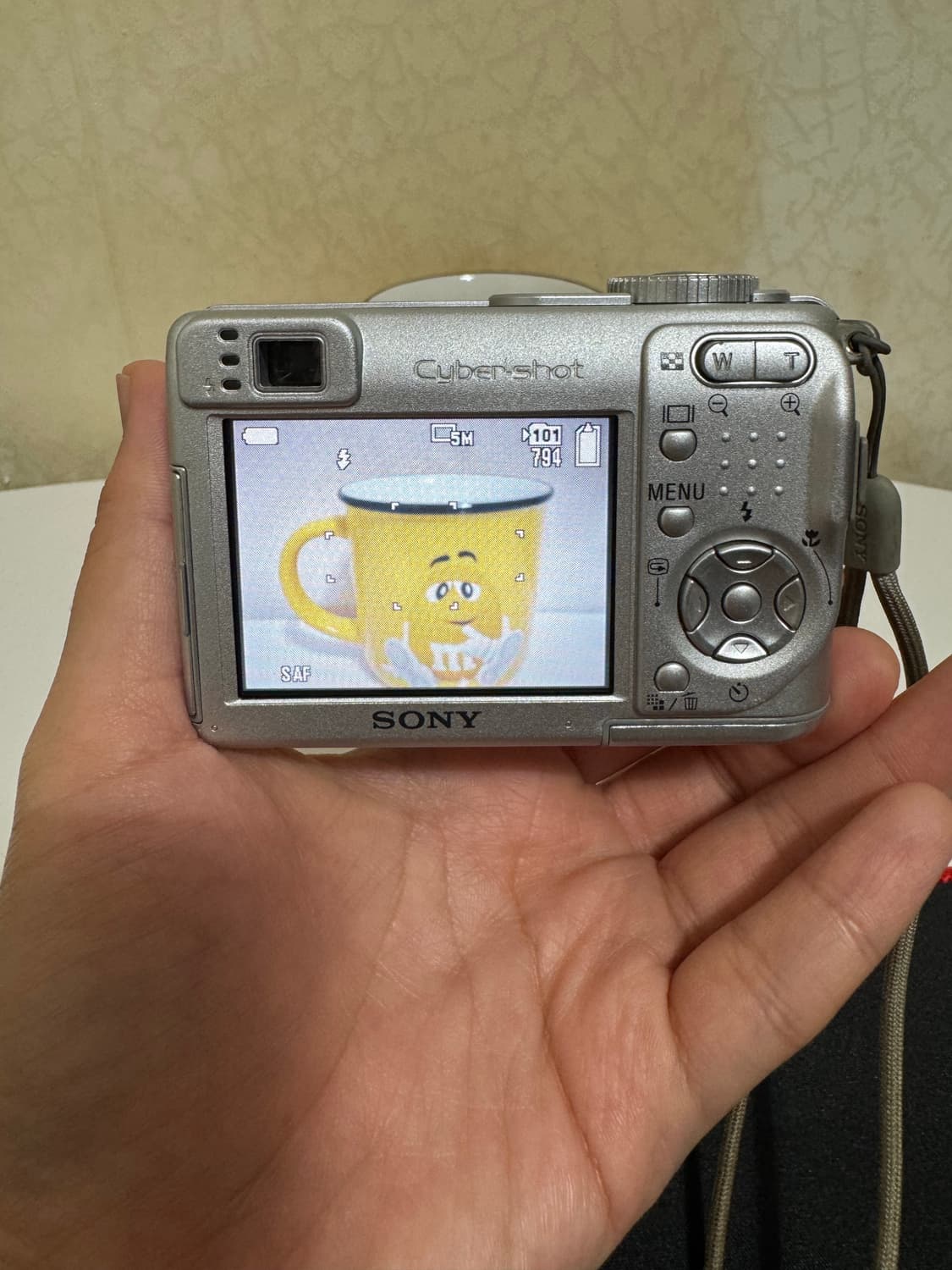 소니 DSC-W1 디카 상품이미지2