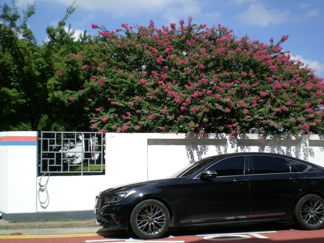 니콘 쿨픽스 s200 상품이미지4