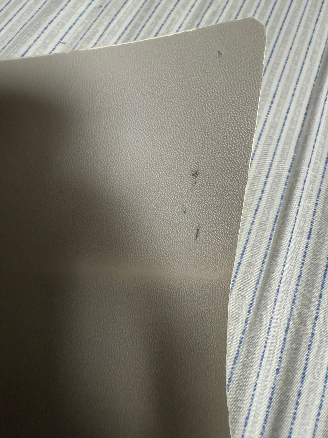 젠틀몬스터 볼타 상품이미지5