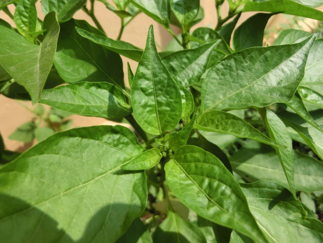 카시오 엑슬림 CASIO EXILIM EX-ZR4000 블랙 상품이미지3