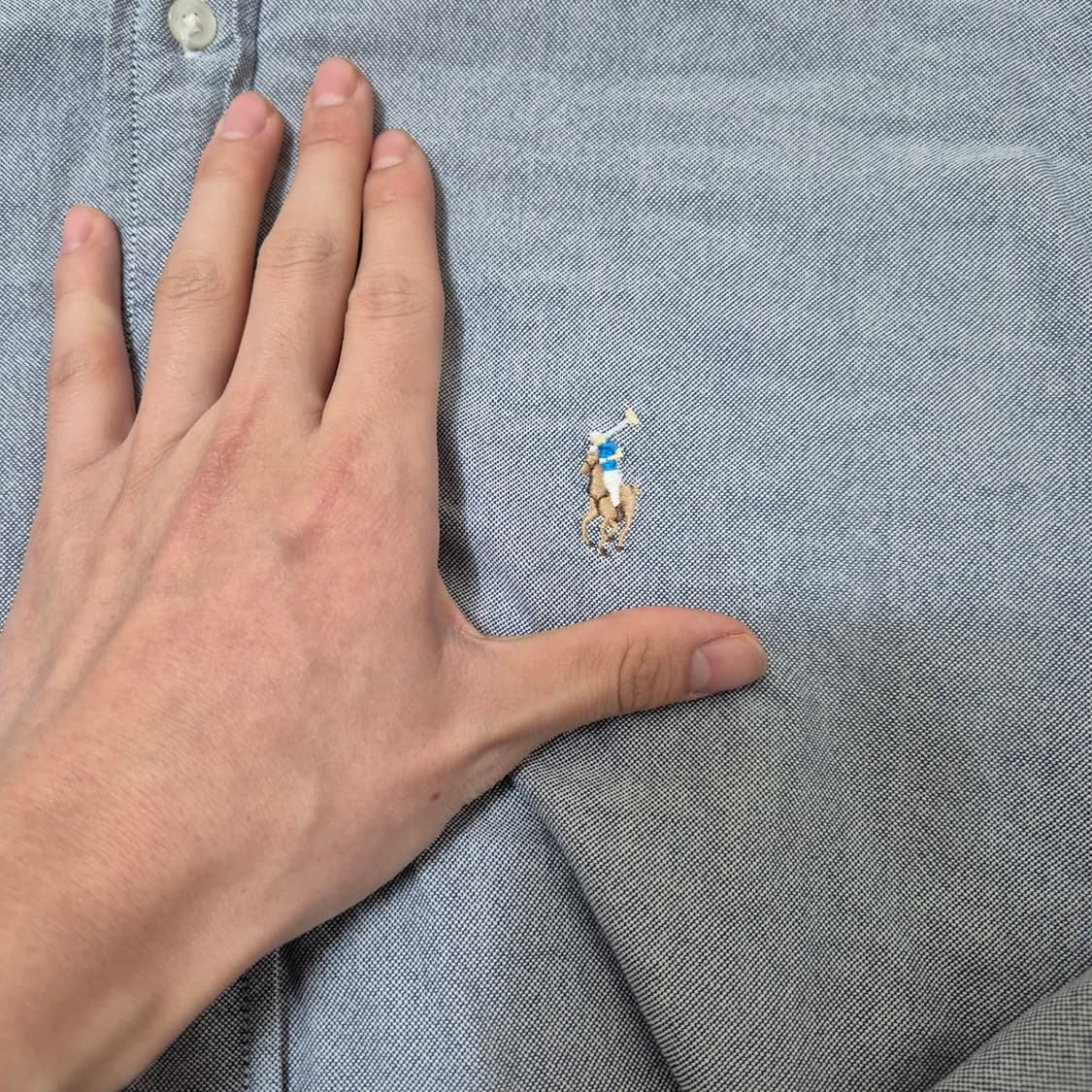 폴로 랄프로렌 스몰포니 솔리드 옥스포드 셔츠 L(100) 상품이미지4