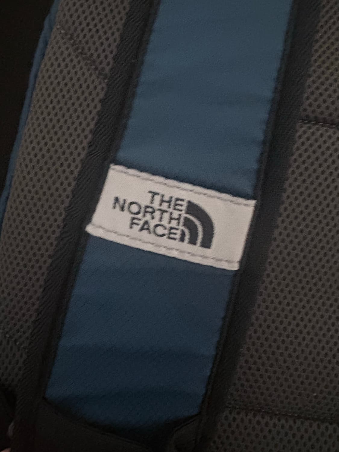 노스페이스 올드스쿨 바디 배스 나일론 슬링백 상품이미지2