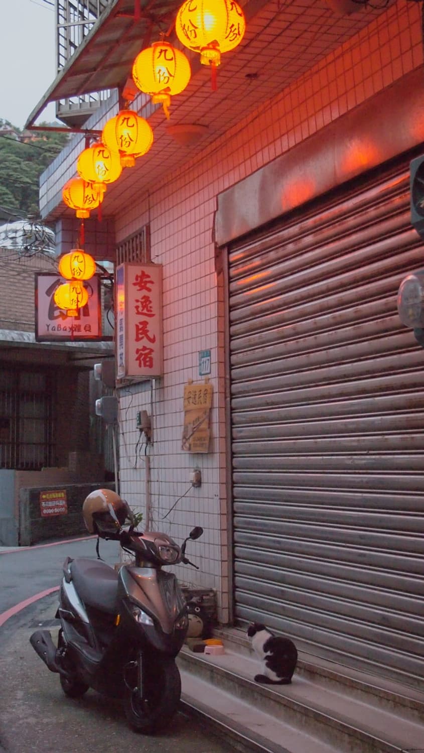 Olympus pen-e-p3 빈티지 디지털 카메라 작례 O 상품이미지8