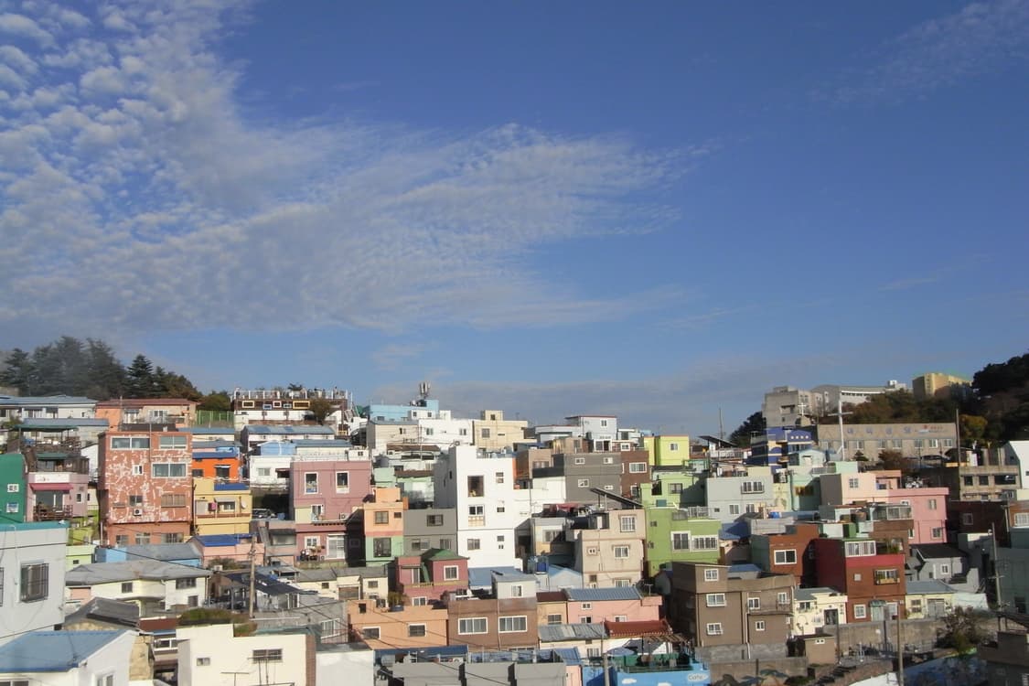 Ricoh R10 상품이미지7