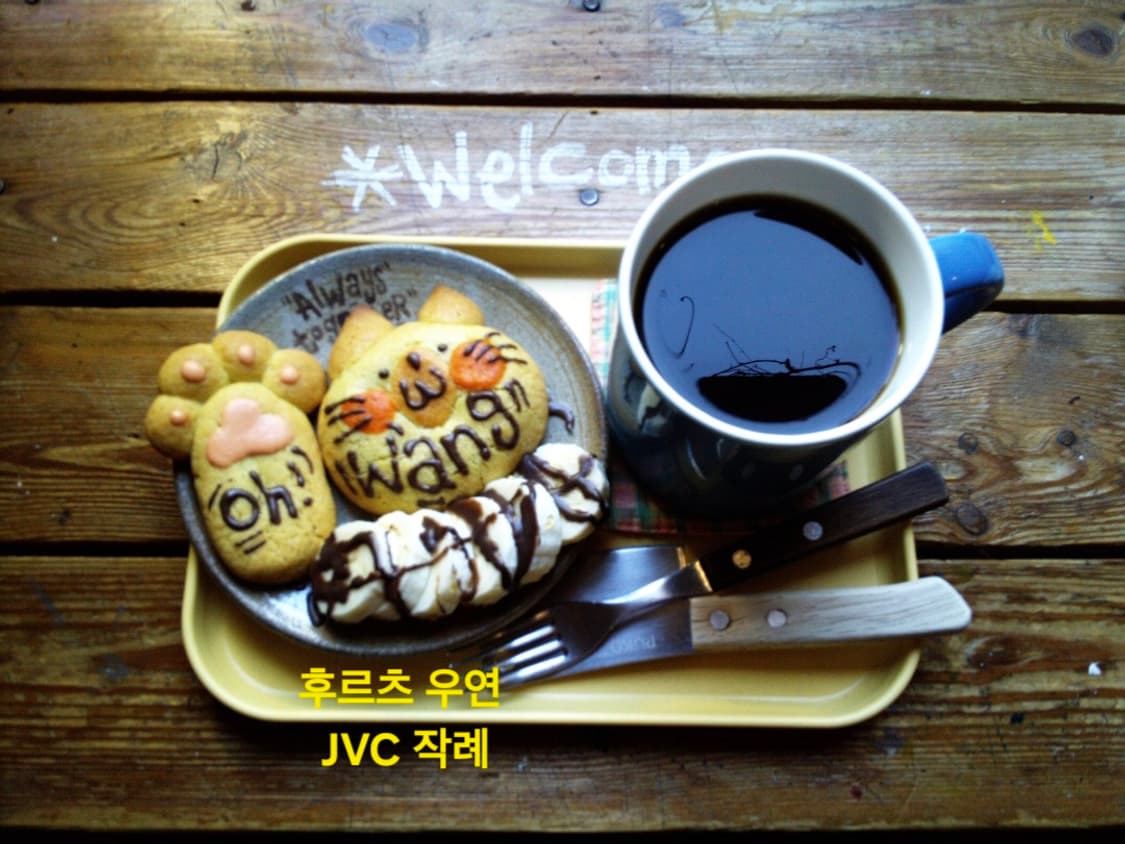 (작례ㅇ민트급)JVC 캠코더 CG fm-1 디카 빈티지디카 디지털 카메라 상품이미지9