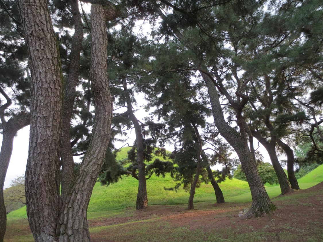 canon lxus 125 hs *작례 *무배 상품이미지10