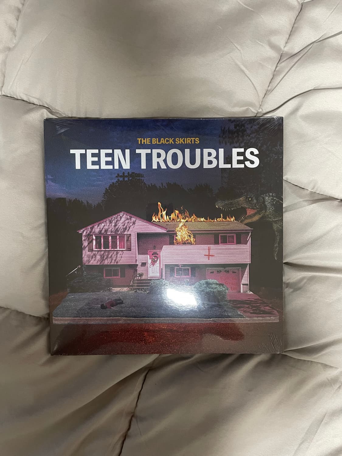 검정치마lp 틴트러블스 상품이미지2