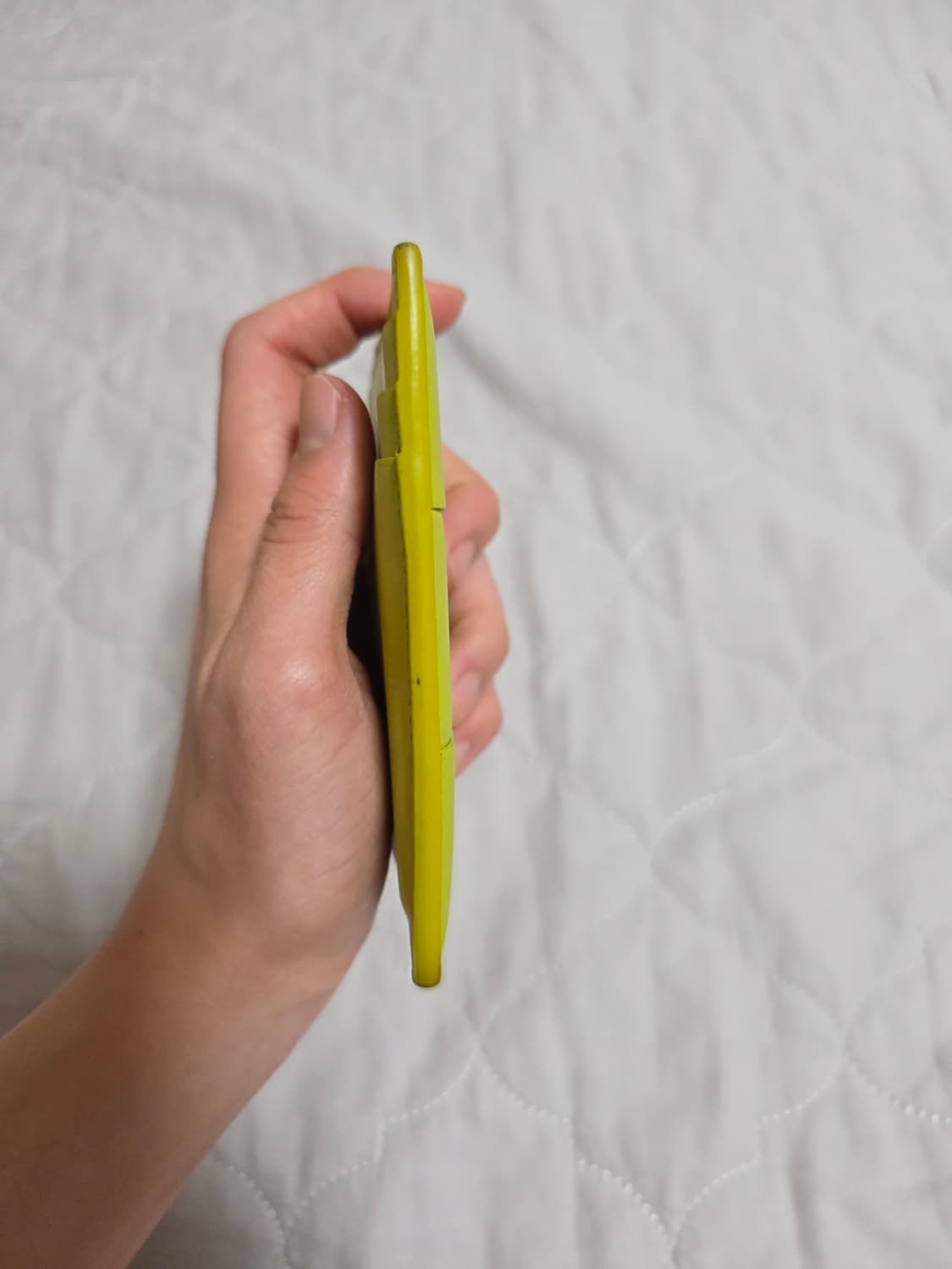 보테가베네타 카세트 카드지갑 키위 상품이미지4