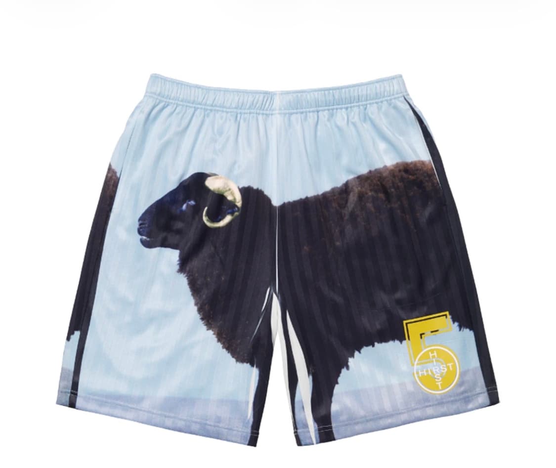 슈프림 데미안허스트 쇼츠 S 반바지 상품이미지1