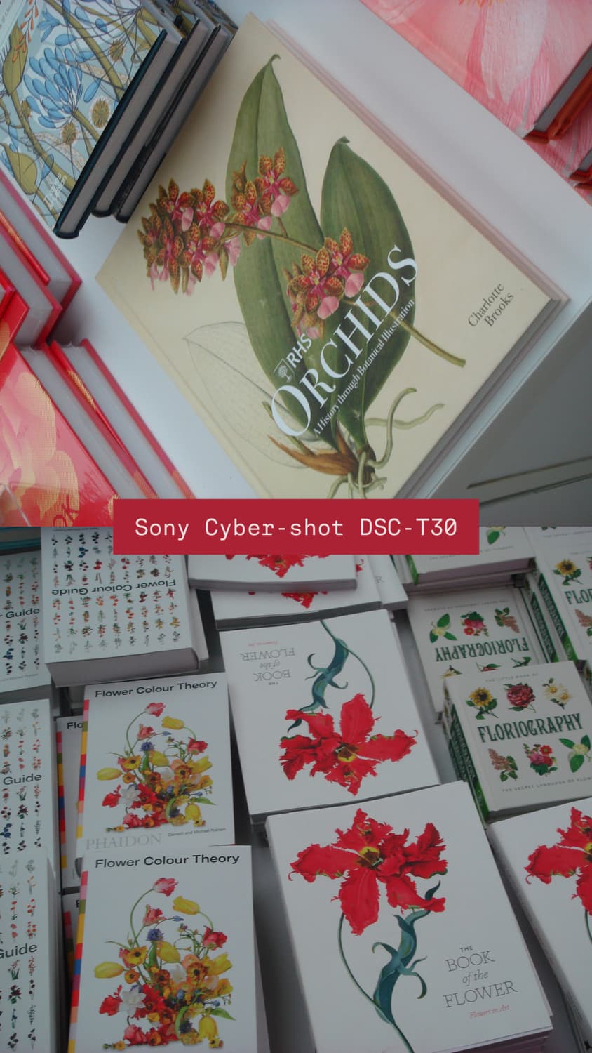 Sony Cyber-shot DSC-T30 상품이미지7