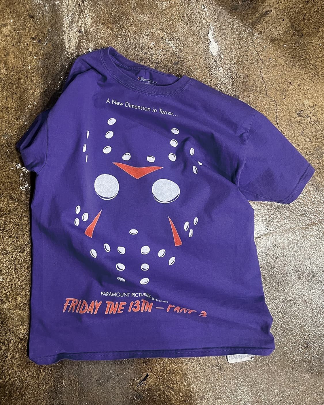  Champion Vintage Base Jason Graphic 상품이미지1