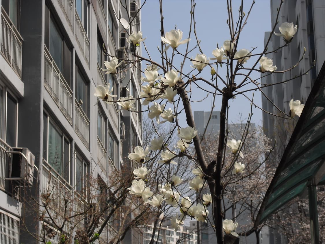 풀박스 / 작례O) 카시오 엑슬림 Z1 디카 디지털카메라 상품이미지9