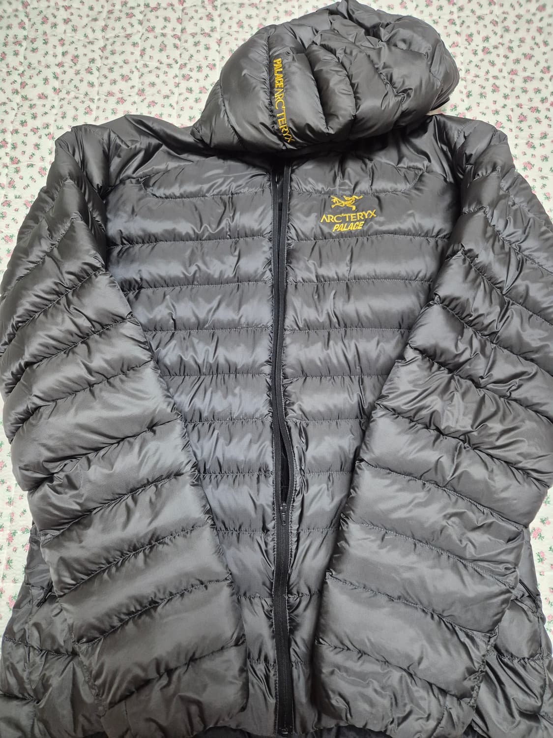 M) 아크테릭스 팔라스 세륨 lt 후디 상품이미지3