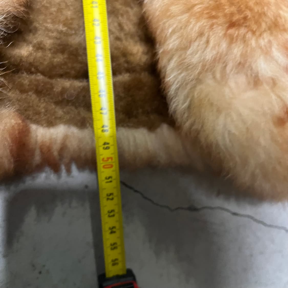 빈티지 양가죽 양털 패치워크 베스트  상품이미지5