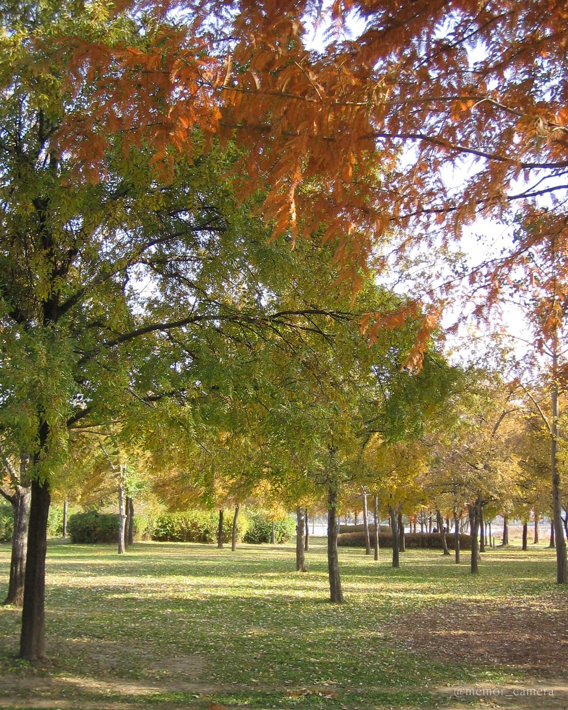 (풀박스)초소형/뉴트럴톤 작례🩷 Canon IXY L 캐논 디카 카메라 상품이미지7